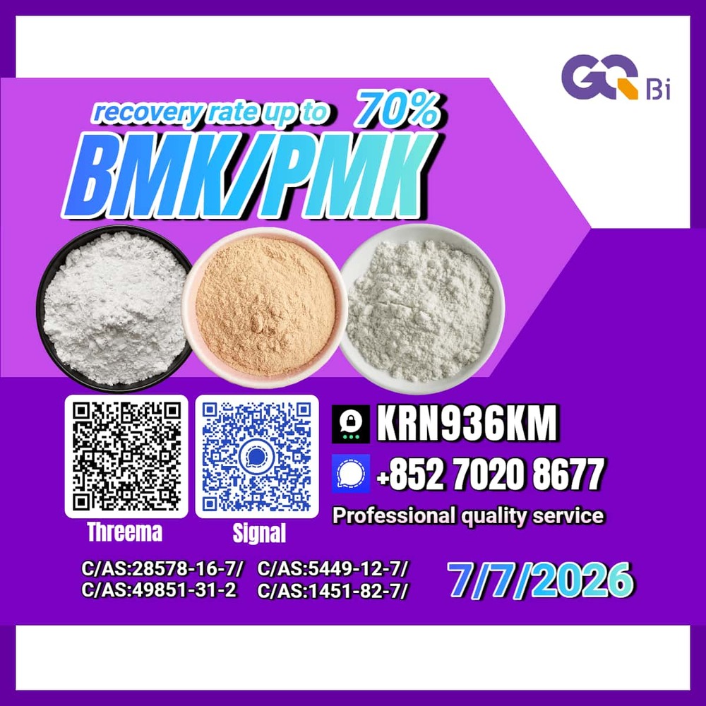 New PM.K 28578-16-7/ BM.K CAS:5449-12-7/ Consistent Product Quality