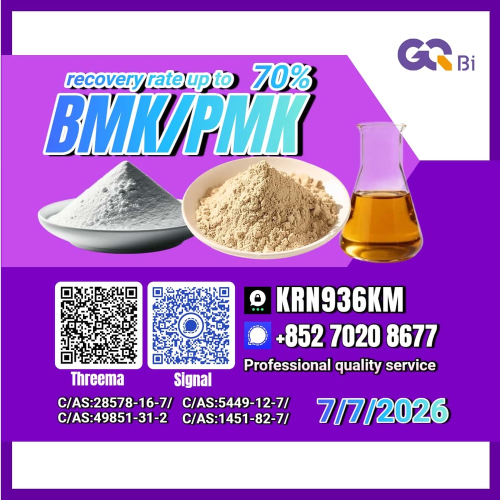 New PM.K 28578-16-7/ BM.K CAS:5449-12-7/ OEM & Bulk Orders