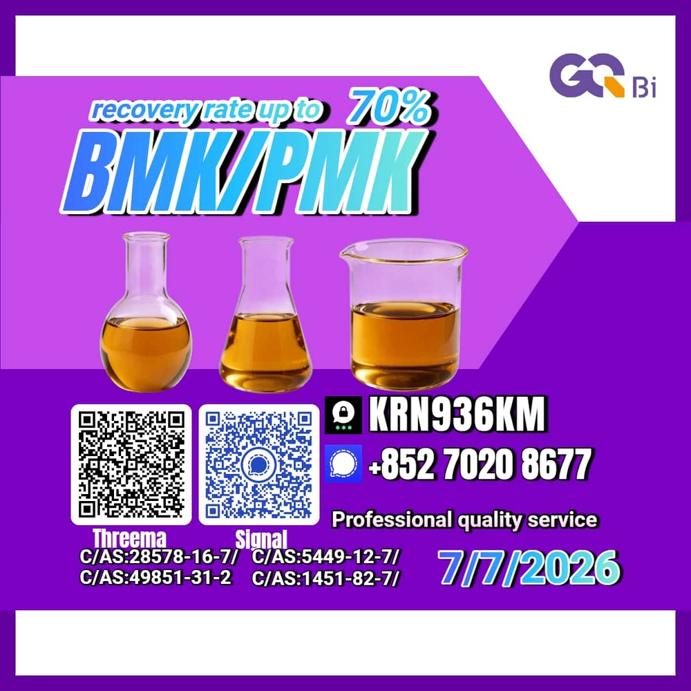 New PM.K 28578-16-7/ BM.K CAS:5449-12-7/ Export Ready Stock