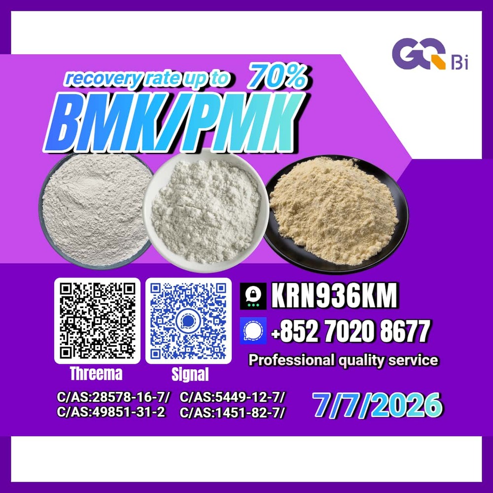 New PM.K 28578-16-7/ BM.K CAS:5449-12-7/ Competitive Factory Price