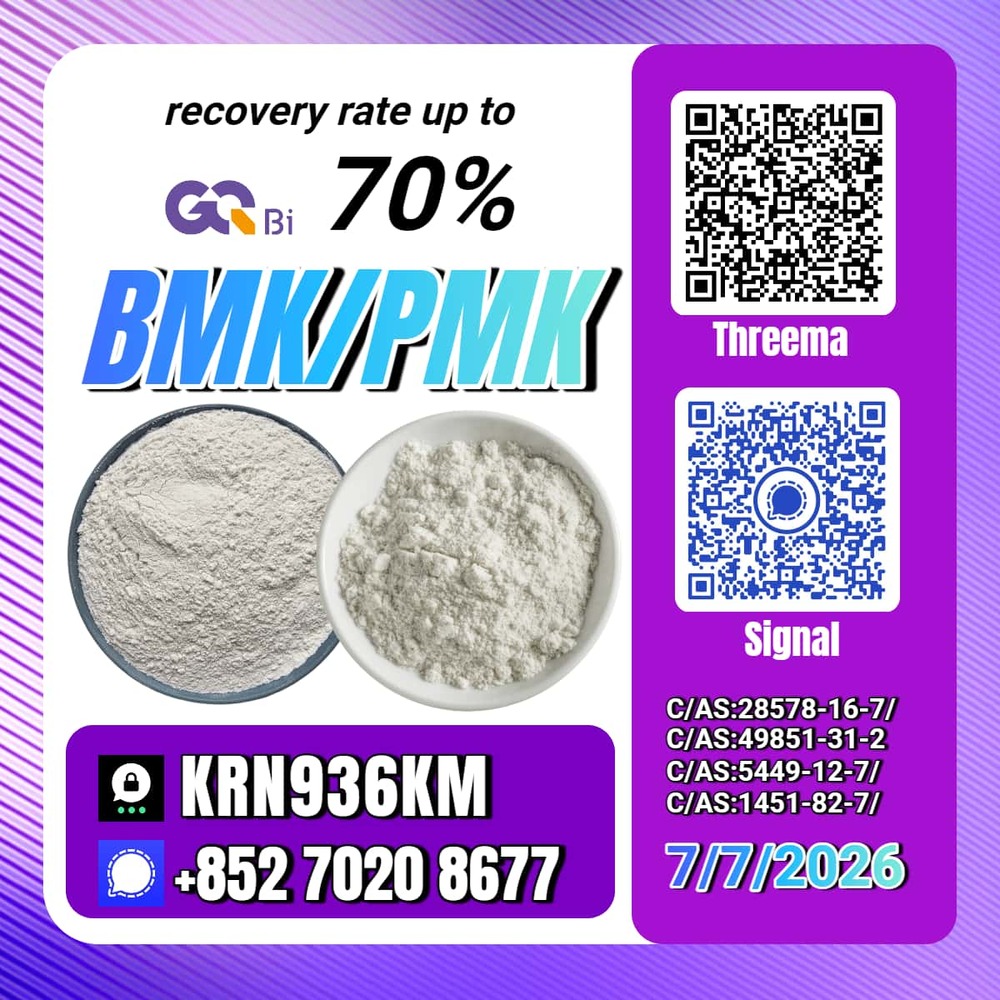 New PM.K 28578-16-7/ BM.K CAS:5449-12-7/ Long-Term Business Partner