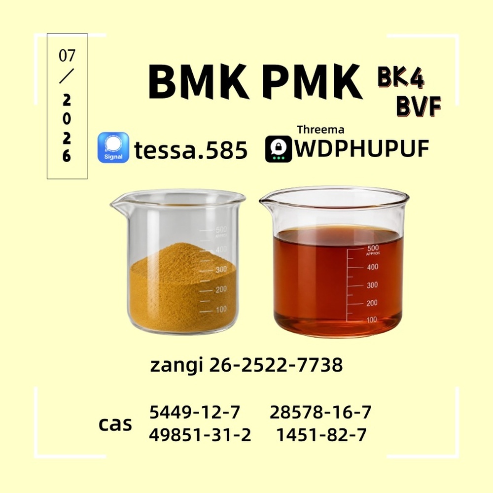 CAS 5449-12-7 BMK Powder Glycidic Acid (Sodium Salt)