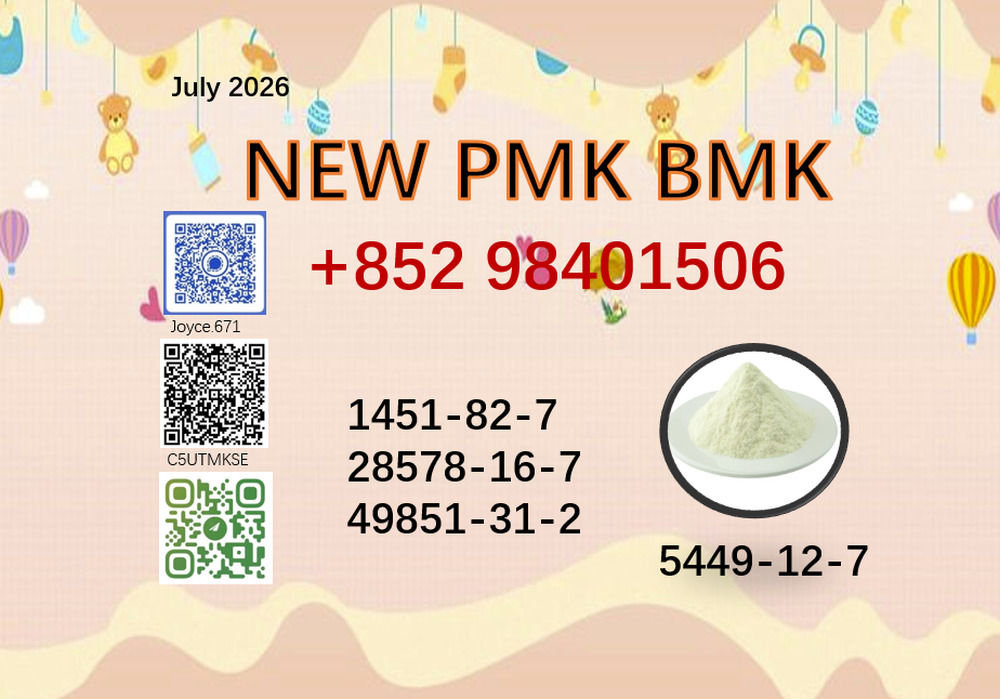 New PMK BMK 28578-16-7/5449-12-7 powder 1451-82-7