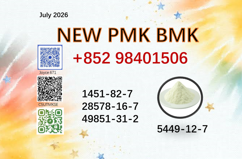 PMK CAS 28578-16-7 integrated with 5449-12-7 BMK powder