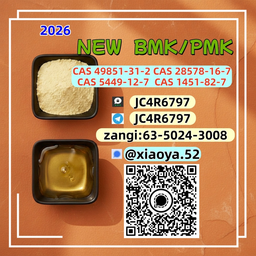 NEW PMK BMK CAS 28578-16-7  CAS 5449-12-7 Supply