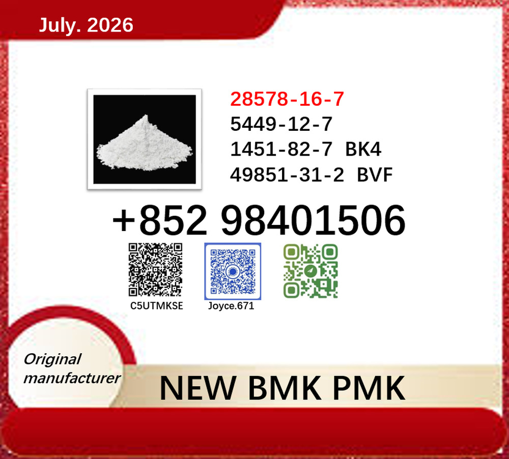 cas 5449-12-7 / 28578-16-7 BMK PMK 1451-82-7 and 49851-31-2 oil powder certificated with best quote
