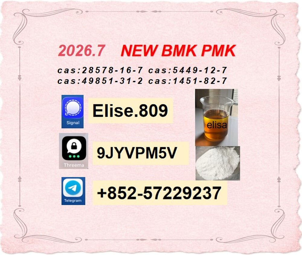 User-friendly Accessible BMK 5449-12-7 PMK 28578-16-7