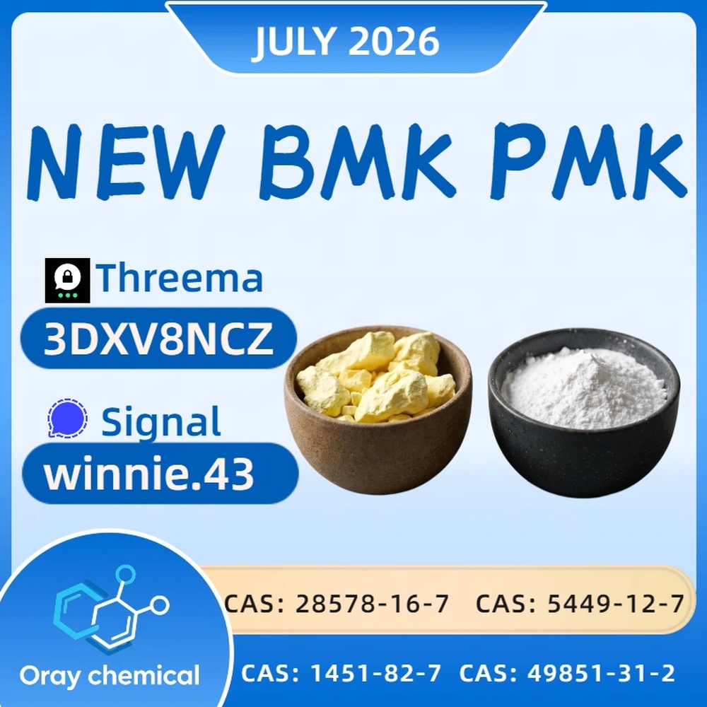 BMK Sodium Glycidate CAS 5449-12-7 99% High Purity Powder Supplier