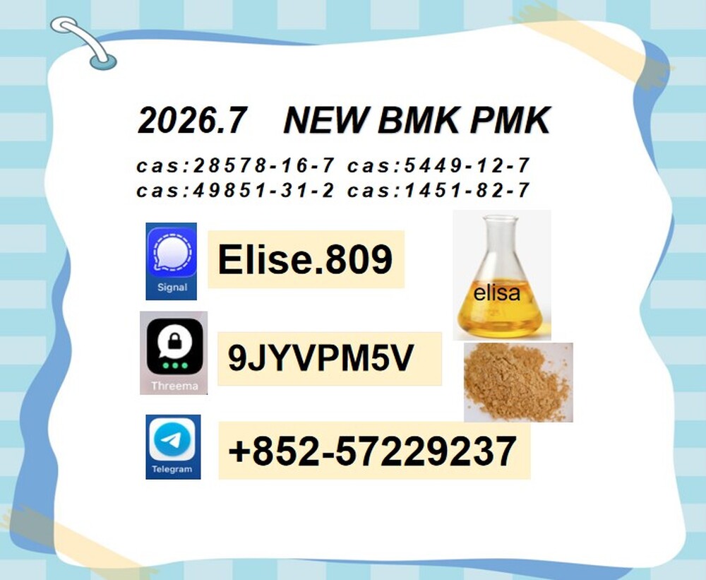 Groundbreaking BMK 5449-12-7 PMK 28578-16-7 Chemical raw materials