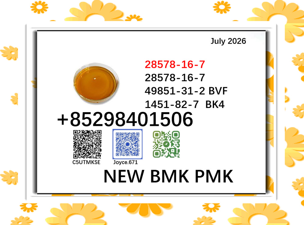 cas 28578-16-7 and 5449-12-7 BMK 1451-82-7 PMK 49851-31-2 for multiple use