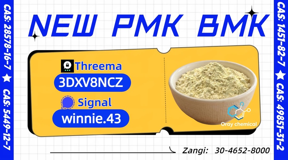 Reliable Logistics Service for PMK Oil CAS 28578-16-7 Orders