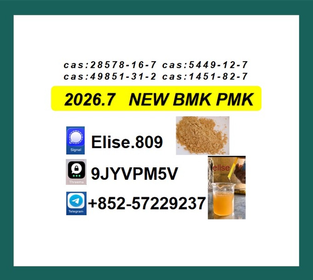 PMK CAS 28578-16-7 PMK Chemical raw materials CAS 5449-12-7