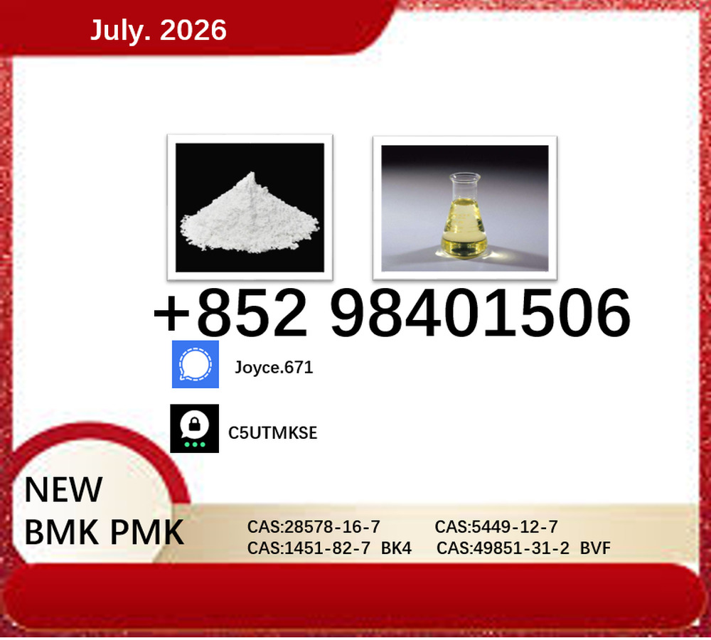 Guaranteed 5449-12-7 Quick Delivery CAS 28578-16-7 PMK BMK