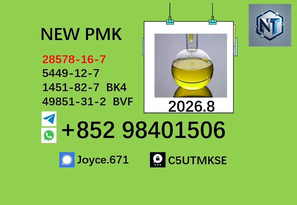 5449-12-7 BMK glycidic acid sodium salt PMK 28578-16-7