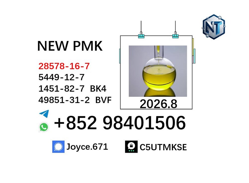 Hot sale PMK 28578-16-7 BMK 5449-12-7 factory supply