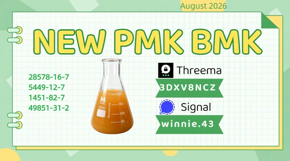 PMK Oil CAS 28578-16-7 Research Information